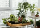 Jardinage urbain : Cultiver votre oasis en ville
