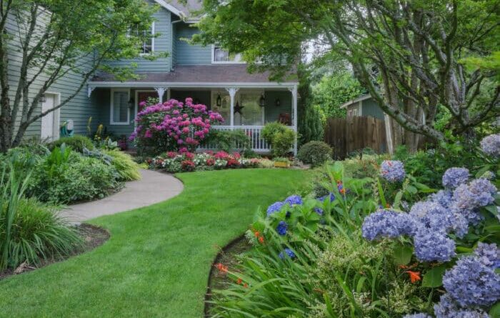 Pourquoi choisir de faire planter un arbre dans votre jardin ?