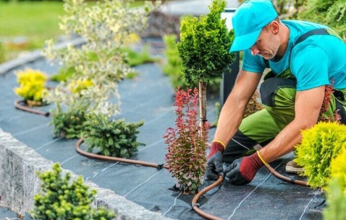 Rénovation d’aménagement paysager : comment réussir un tel projet ?