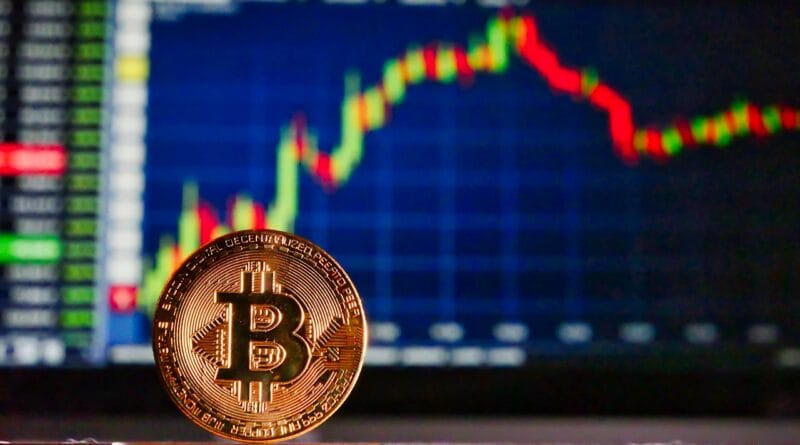 Crypto-monnaies : comprendre le boom du Shiba Inu